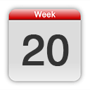 Pregnancy Diary Week 20