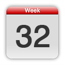 Pregnancy Diary Week 32