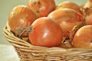 pregnancy nutrition onions