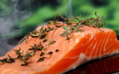 Pregnancy nutrition-fish and omega fats especially omega-3s and 6s