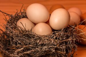 pregnancy nutrition iron found in eggs