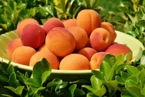apricots in pregnancy