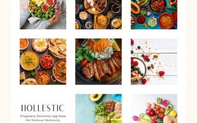 Why We Love The Pregnancy Nutrition App Hollestic